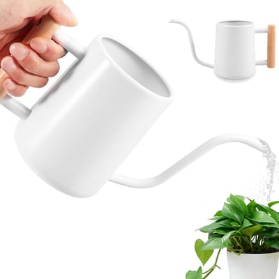 Roestvrijstalen plantengieter met lange uitloop en houten handgreep - 1 liter voor kamerplanten en tuin