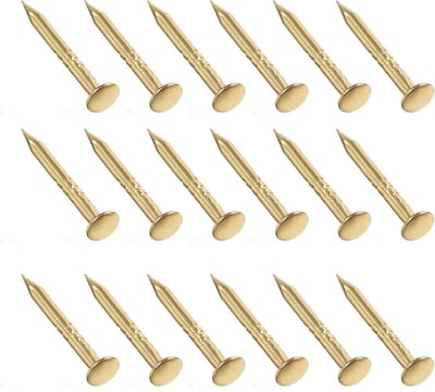 Kleine Spijkers van Koolstofstaal (1 x 10mm) 200 Stuks voor Houtbewerking en Huishoudelijk Gebruik - Goudkleurig