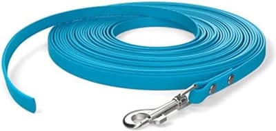 Hondenriem 10 Meter - Hondenlijn 10 Meter - 10m, voor kleine honden/cyaan blauw