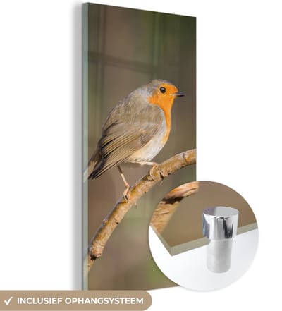 MuchoWow® Glasschilderij 20x40 cm - Schilderij acrylglas - Roodborstje - Vogel - Natuur - Foto op glas - Schilderijen