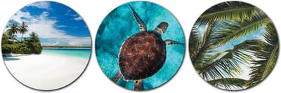 Forex Muurcirkel Set -  Set Tropische Schildpad  - Set van 3 Wandcirkels met Ophangsystemen - 35x35x35