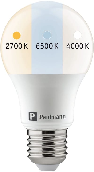 Filament 230 V E27 60 mm White Switch 8,5W 806lm 230V Opaal