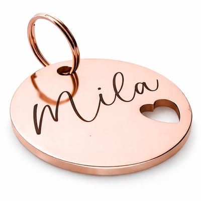 By Ollies dierenpenning rosegoud - 30mm - RVS - met hartje - wandelen - hondenpenning