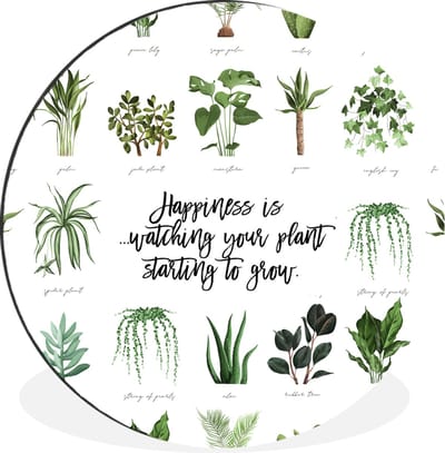 WallCircle - Wandcirkel - Muurcirkel - Quotes - Happiness is... watching your plant starting to grow - Spreuken - Aluminium - Dibond - 30x30 cm - Binnen en Buiten