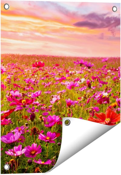 Gards Tuinposter Kleurrijke Kosmos Bloemenveld - 40x50 cm - Tuindoek - Tuindecoratie - Wanddecoratie buiten - Tuinschilderij
