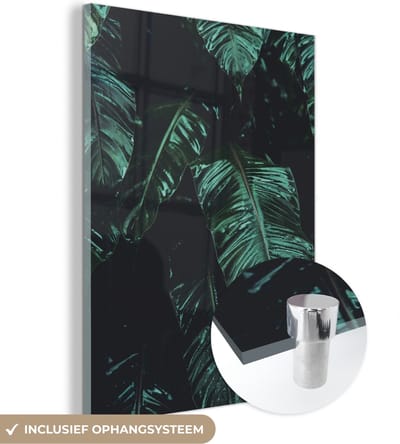 MuchoWow® Glasschilderij 30x40 cm - Schilderij acrylglas - Jungle - Palmboom - Bladeren - Tropisch - Foto op glas - Schilderijen
