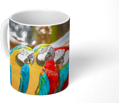 Mok - Koffiemok - Vogels - Papegaai - Tropisch - Natuur - Mokken - 350 ML - Beker - Koffiemokken - Theemok