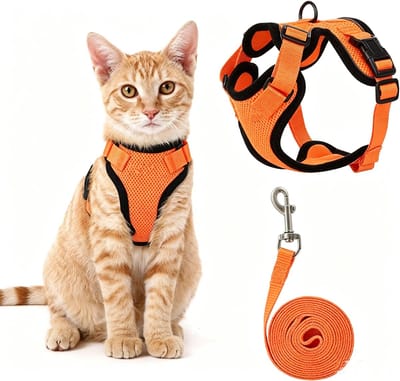 Kattentuigje Met Leiband Riem - Kattenriem - Cat Leash - Kitten Tuigje - Kattenlijn - Verstelbaar - Geschikt voor volwassen katten en kittens - Oranje (maat S)
