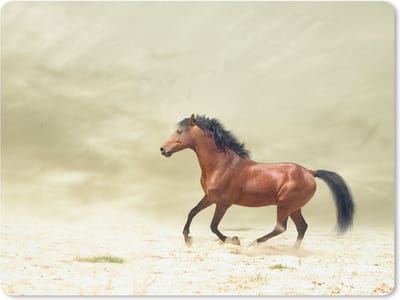 Muismat Paarden - Galopperend paard in een droog gebied muismat rubber - 23x19 cm - Muismat met foto