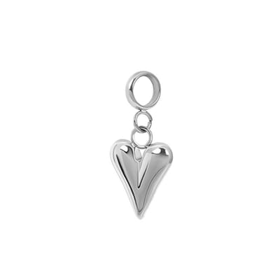 iXXXi Connect Bedel Wild Heart | Zilver