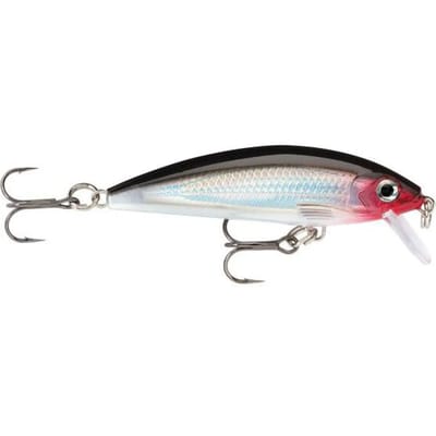 Lure Rapala x-rap® countdown® 5cm