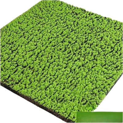 Kunstgras Tapijt - Gazon Mat - Buiten Verfraaien - Onderhoudsarm Design - 1x1 Meter - Mosgroen