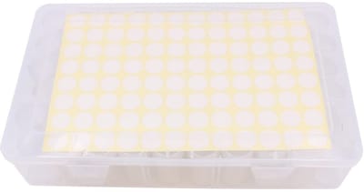 Dailygoods- Opslagcontainer 60Pcs - Opbergdoos met vakjes - Organizer voor DIY - Kralen/Sieraden/Strass - Transparant - Veelzijdig gebruik