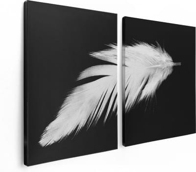 Artaza Canvas Schilderij Tweeluik Witte Veer op een Zwarte Achtergrond - 120x80 - Foto Op Canvas - Canvas Print