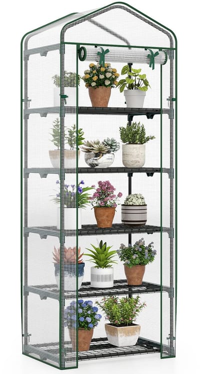 COSTWAY Kleine broeikas klein, mini-tomatenkas met 5 planken van metaal, foliekas winterbestendig voor terras, balkon en tuin, 69 x 48 x 190 cm (Groen)