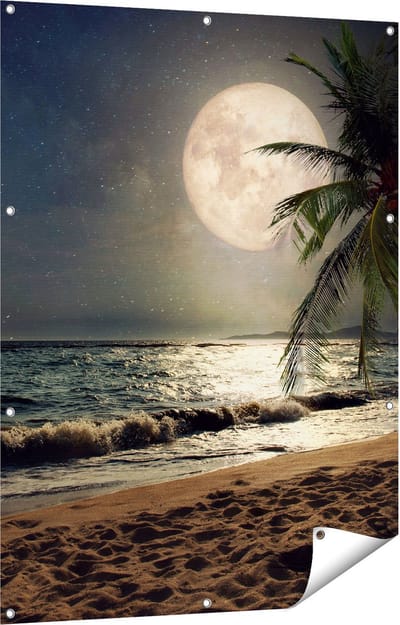 Gards Tuinposter Tropisch Strand in de Nacht met Volle Maan - 90x120 cm - Tuindoek - Tuindecoratie - Wanddecoratie buiten - Tuinschilderij