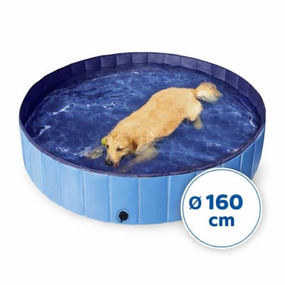 Ceruzo Hondenzwembad Ø160 cm – L – Opvouwbaar Hondenbad – Anti Slip – Blauw