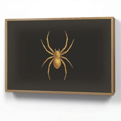 Wandlamp 90x60 cm - Oplaadbaar - Spin - Goud - Minimalistisch - Poten - Wandlampen binnen woonkamer - Slaapkamer lamp - Decoratieve nachtlamp - Vloerlamp draadloos