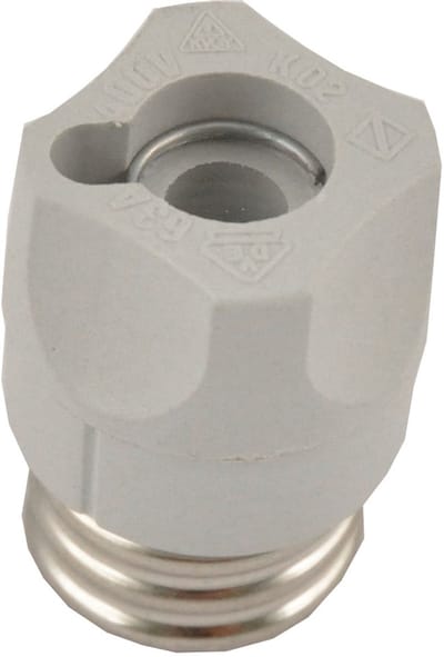 Hager LE18SI Schroefkop zekering Afmeting zekering : D02 20 stuk(s)