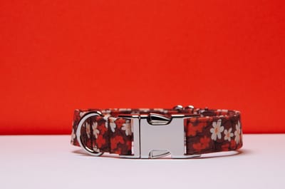 Awesome Paws Herfst Collectie Halsband Hond - Honden Halsband Herfst Collectie - Handgemaakte Halsbanden Voor De Hond - Oranje Wit Bloemen | Maat L