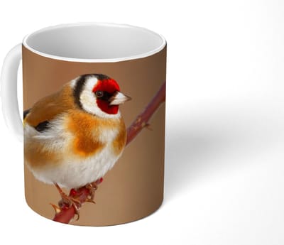 Mok - Koffiemok - Putter - Vogel - Dieren - Mokken - 350 ML - Beker - Koffiemokken - Theemok