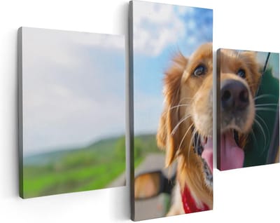 Artaza Canvas Schilderij Drieluik Golden Retriever Hond Uit Een Auto Raam - 90x60 - Foto Op Canvas - Canvas Print