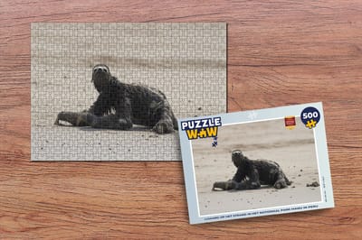 Puzzel Luiaard op het strand in het Nationaal park Manu in Peru - Legpuzzel - Puzzel 500 stukjes