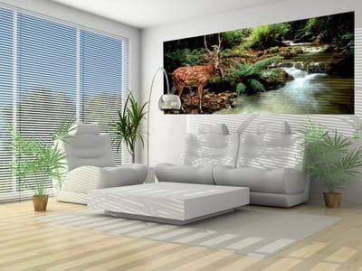 Deer in Forest Photo Wallcovering