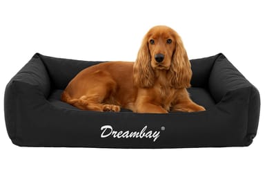 Hondenmand – orthopedisch hondenkussen Dreambay® Zwart 80x67cm – waterafstotend, afneembare hoes & antislip bodem – hoogwaardig comfort gemaakt in Europa