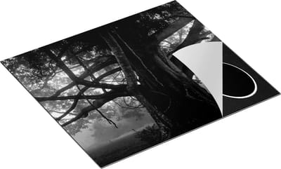 Chefcare Inductie Beschermer Grote Levensboom met Veel Takken - Zwart Wit - 60x50 cm - Afdekplaat Inductie - Kookplaat Beschermer - Inductie Mat