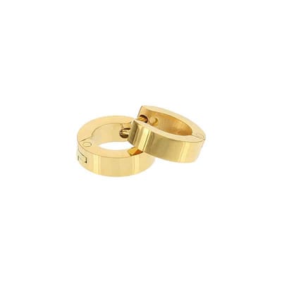 Kalli edelstalen Oorbel 1900 shiny Goud 10mm