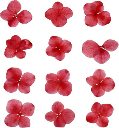 Gedroogde Bloemen - Persbloemen Decoratie - Ambachtelijk Knutselen - Natuurlijke Vormen - 48 Stuks - Rood