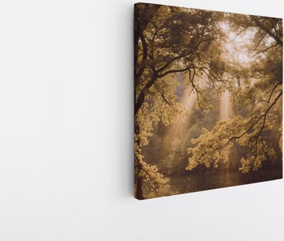 Saammp Canvas Schilderij - Lichtval - Bomen - Landschap - Natuur - 20x20 - Foto op canvas - Wanddecoratie - Muurdecoratie Woonkamer - Slaapkamer decoratie - Canvas Print