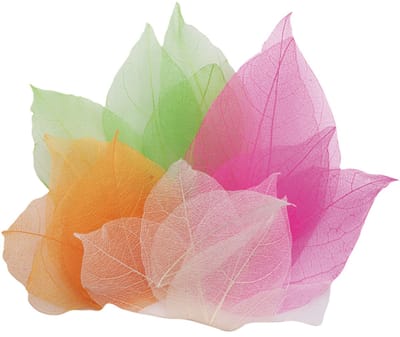 Eduplay magnolia bladeren speelset - 300 stuks - natuurlijk speelgoed.