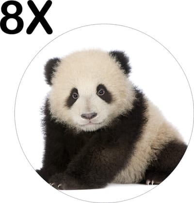 Luxe Ronde Placemat - Lieve Panda met Witte Achtergrond - Set van 8 Placemats - 50x50 cm - 2 mm dik Vinyl - Anti Slip - Afneembaar