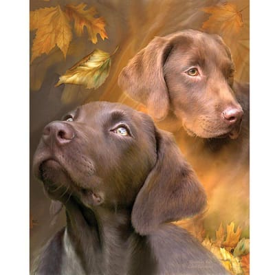 Volledig Rond Boor Diamant Borduurwerk Twee Honden 5D DIY Diamant Schilderen Kruissteek Strass 20X30CM beige