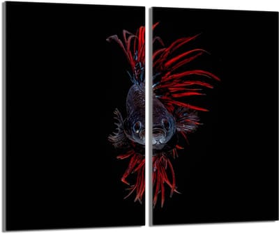 TMK ArtDeko Serie - Snijplank - Glas Beschermplaat - 2x30x52 - Vis Design