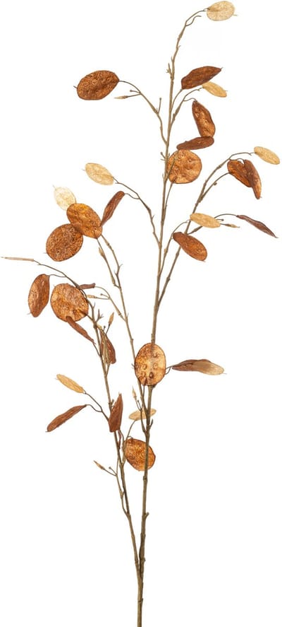 Emerald - Kunstbloem Judaspenning 120cm bruin - Kunstplant voor binnen