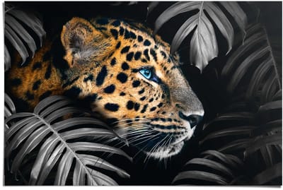 Poster Jungle luipaard - 61 x 91,5 - Papier - REINDERS