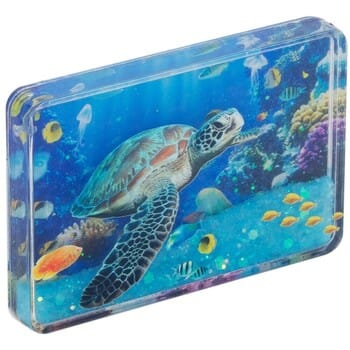 Beeldjes Signes Grimalt Magnetische Schildpad