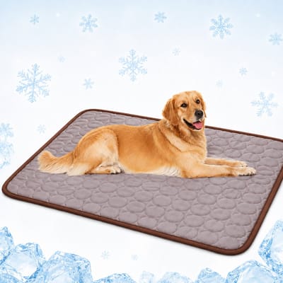 Daity 1 stuk - Koelmat voor honden, koelbed voor binnen, wasbaar huisdierbed (70 cm x 100 cm)