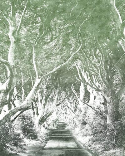 Fotobehang - Alley Graphite 200x250cm - Vliesbehang
