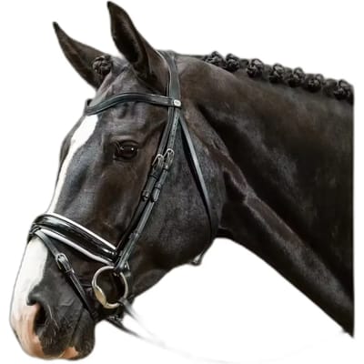 Breedte gecombineerde muserolle met glanzende afwerking en witte voering Dy'on