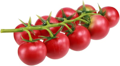 Decoratieve tomaten trostomaatjes op pluim Ø3,5cm