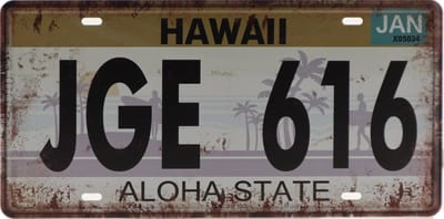Wandbord – Mancave – Kenteken - Hawaii – Vintage - Retro - Wanddecoratie – Reclame bord – Restaurant – Kroeg - Bar – Cafe - Horeca – Metal Sign – Cadeau - 15x30cm