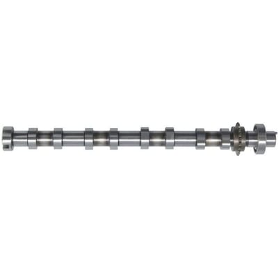 Nokkenas  AE CAM1050