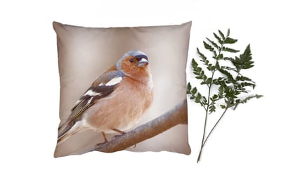 Sierkussens - Kussentjes Woonkamer - 40x40 cm - Vogel - Dieren - Vink