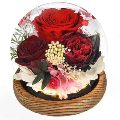 Geconserveerde rozen in glas met licht - Eeuwige bloemen als cadeau voor speciale gelegenheden
