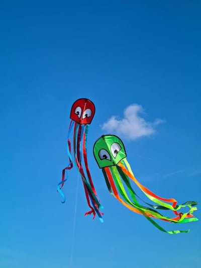 Grote Eenlijnige Vlieger in Vorm van een Octopus - Buitenspeelgoed voor Kinderen