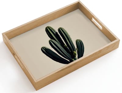 Dienblad hout 40x30 cm - Schootdienblad - Cactus - Subtiel - Groen - Borrelplank rechthoek - Plateau dienbladen